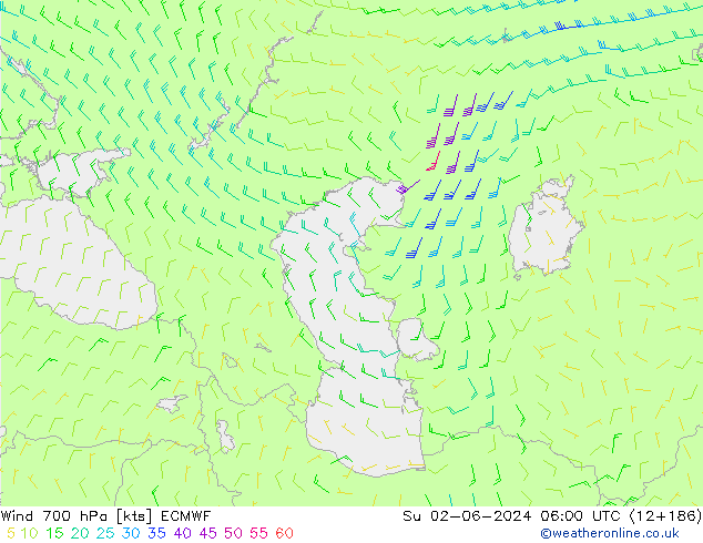 wiatr 700 hPa ECMWF nie. 02.06.2024 06 UTC