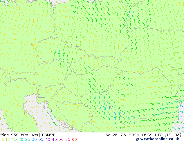  Sa 25.05.2024 15 UTC