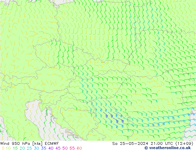  Sa 25.05.2024 21 UTC