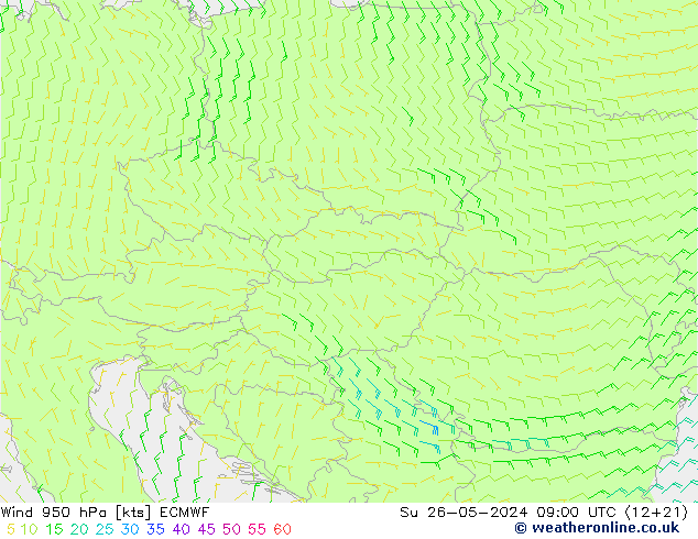  Su 26.05.2024 09 UTC