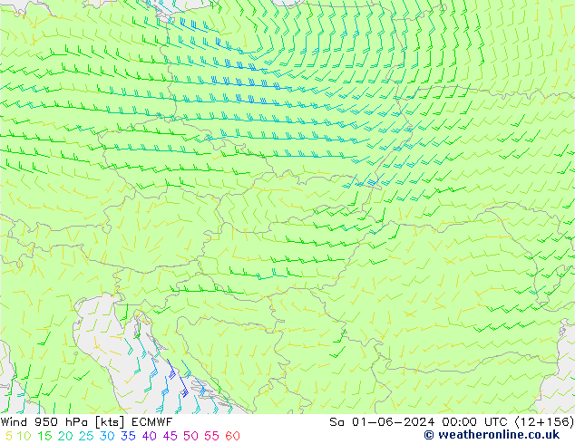 Vent 950 hPa ECMWF sam 01.06.2024 00 UTC