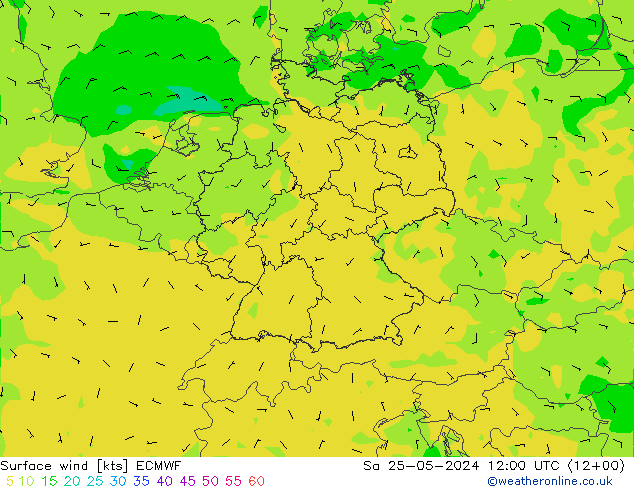 Surface wind ECMWF Sa 25.05.2024 12 UTC