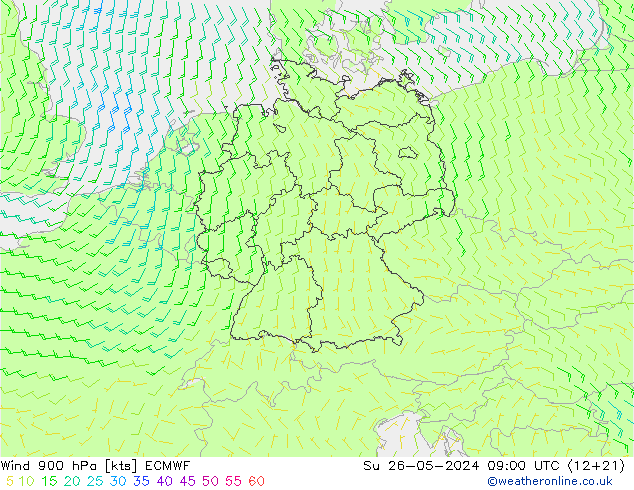 Wind 900 hPa ECMWF Su 26.05.2024 09 UTC