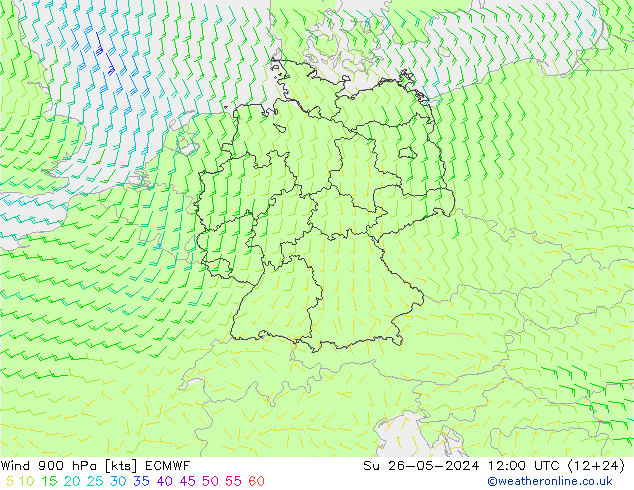 Wind 900 hPa ECMWF zo 26.05.2024 12 UTC