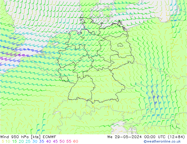 ветер 950 гПа ECMWF ср 29.05.2024 00 UTC