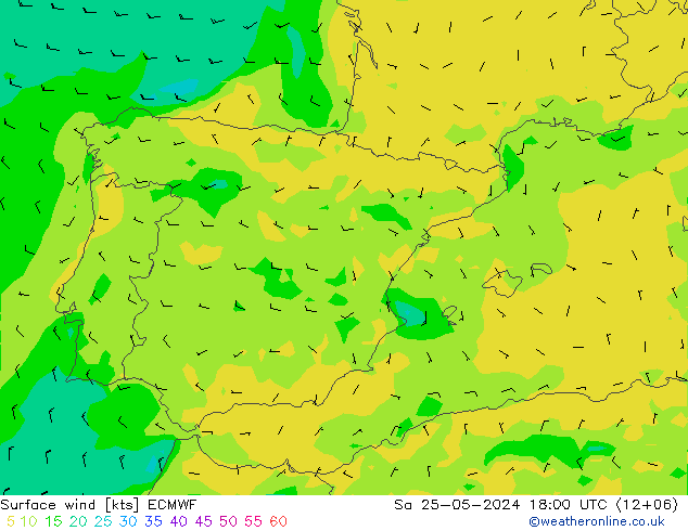 Yağış 6sa/Rüz. 10m/950 ECMWF Cts 25.05.2024 18 UTC