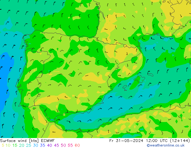 Vento 10 m ECMWF ven 31.05.2024 12 UTC