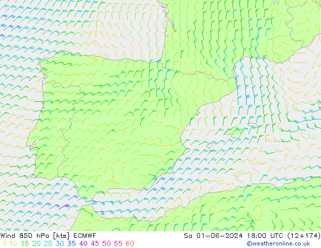 Vento 850 hPa ECMWF sab 01.06.2024 18 UTC