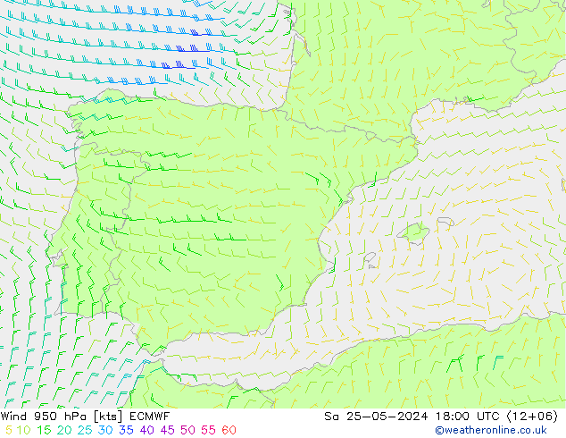 Yağış 6sa/Rüz. 10m/950 ECMWF Cts 25.05.2024 18 UTC