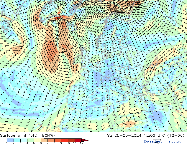 Wind 10 m (bft) ECMWF za 25.05.2024 12 UTC