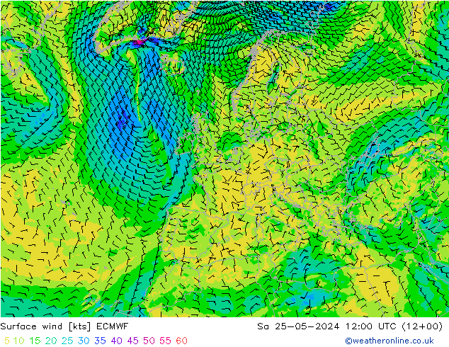 Viento 10 m ECMWF sáb 25.05.2024 12 UTC