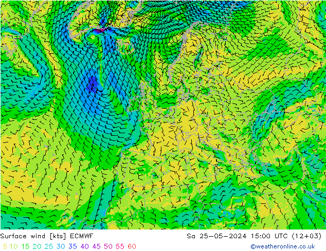 Wind 10 m ECMWF za 25.05.2024 15 UTC