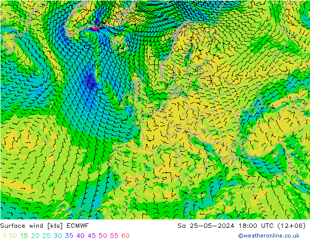 Surface wind ECMWF Sa 25.05.2024 18 UTC