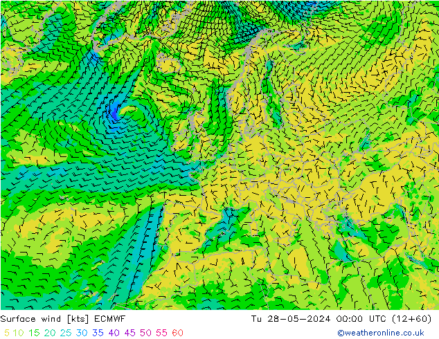 Surface wind ECMWF Tu 28.05.2024 00 UTC