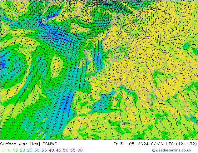 ветер 10 m ECMWF пт 31.05.2024 00 UTC