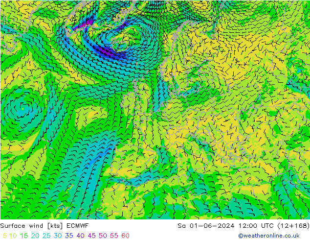 Rüzgar 10 m ECMWF Cts 01.06.2024 12 UTC