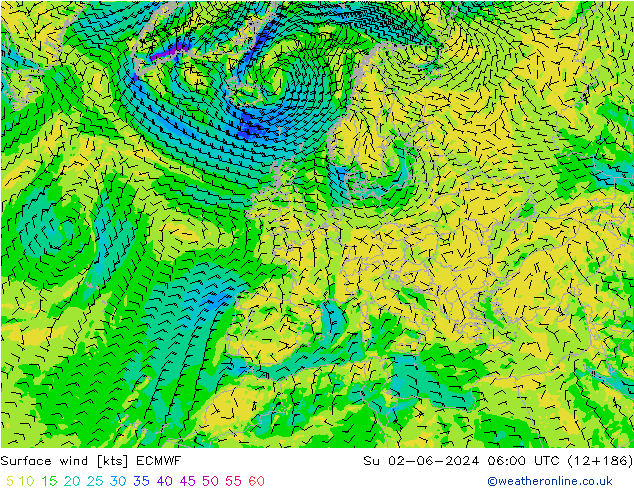 wiatr 10 m ECMWF nie. 02.06.2024 06 UTC