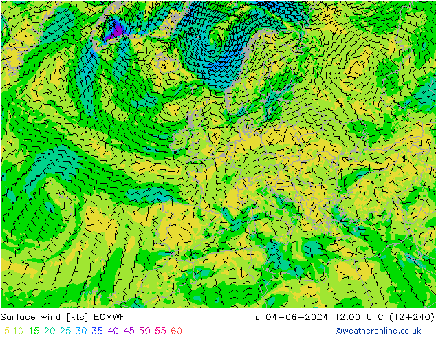 ветер 10 m ECMWF вт 04.06.2024 12 UTC