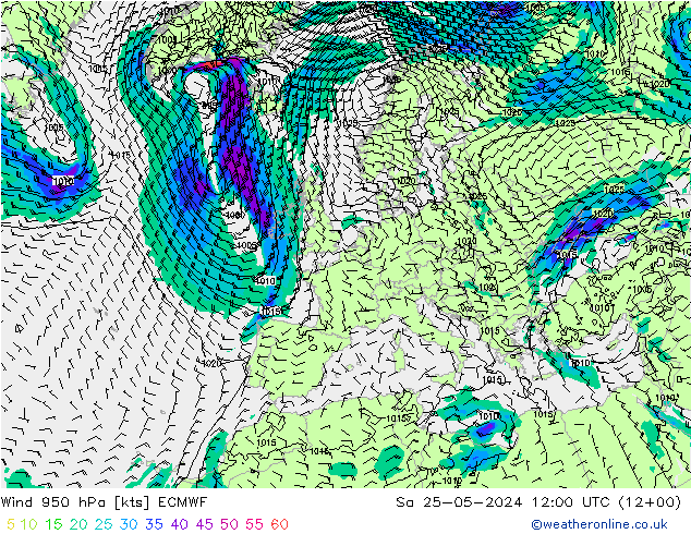 Wind 950 hPa ECMWF Sa 25.05.2024 12 UTC