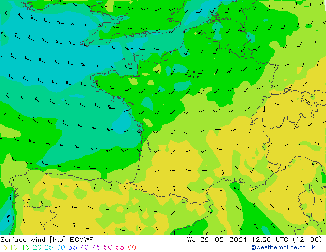 Wind 10 m ECMWF wo 29.05.2024 12 UTC