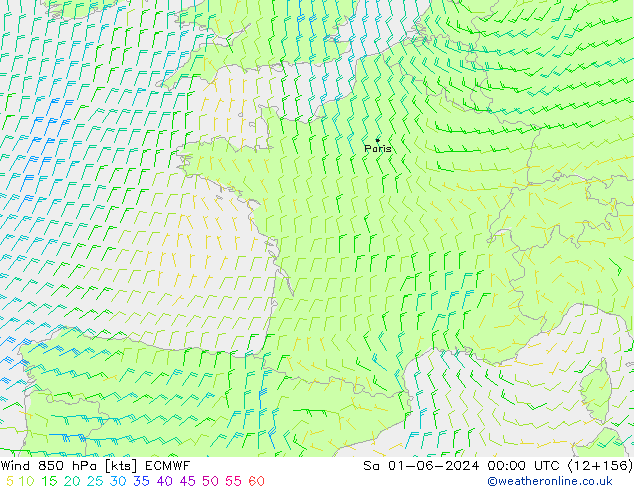 Vent 850 hPa ECMWF sam 01.06.2024 00 UTC