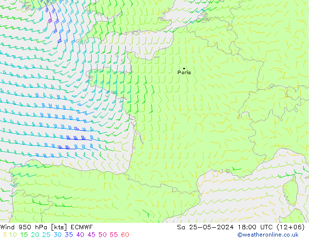 Vento 950 hPa ECMWF sab 25.05.2024 18 UTC