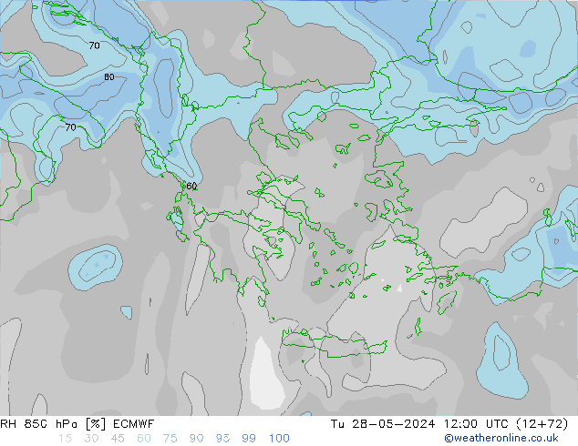 RH 850 гПа ECMWF вт 28.05.2024 12 UTC