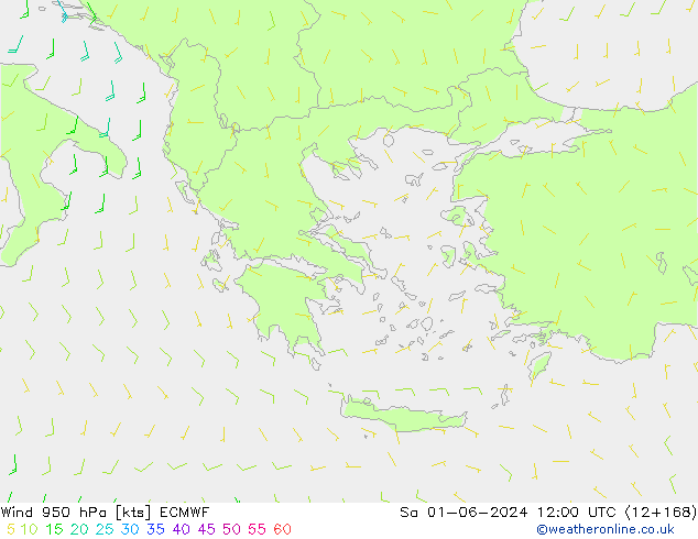 Rüzgar 950 hPa ECMWF Cts 01.06.2024 12 UTC