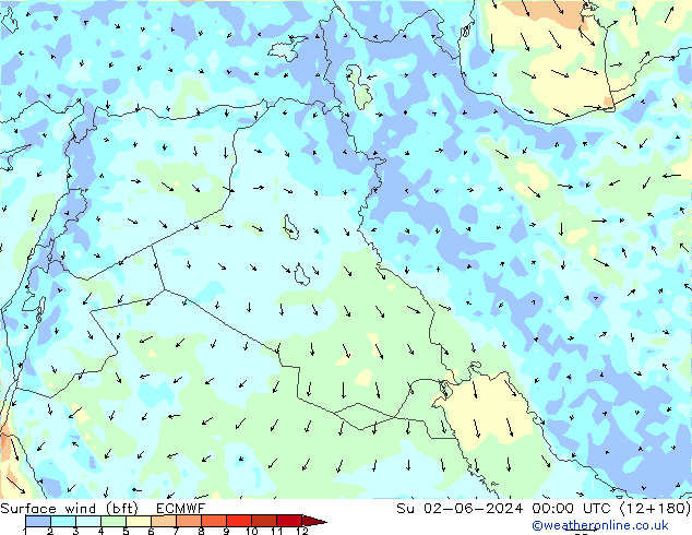 Vento 10 m (bft) ECMWF dom 02.06.2024 00 UTC