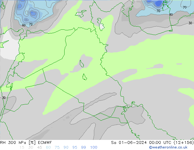 RH 300 hPa ECMWF  01.06.2024 00 UTC