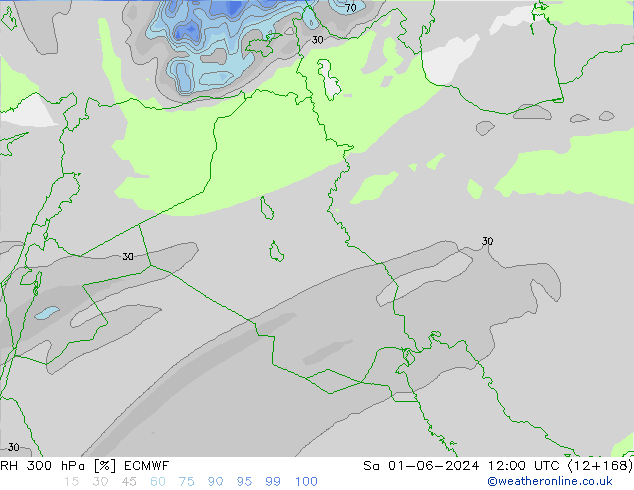 RH 300 hPa ECMWF Sáb 01.06.2024 12 UTC