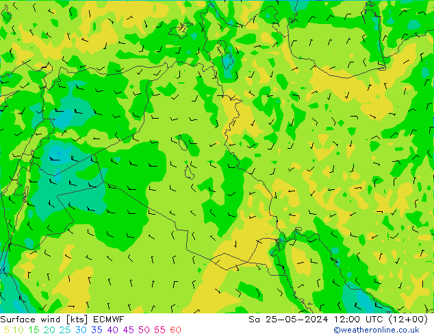  10 m ECMWF  25.05.2024 12 UTC