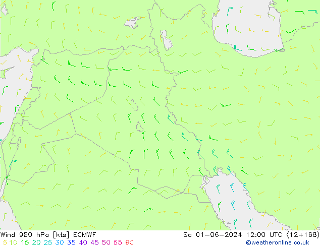 Wind 950 hPa ECMWF za 01.06.2024 12 UTC