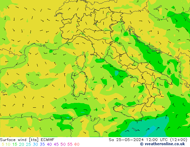 Surface wind ECMWF Sa 25.05.2024 12 UTC