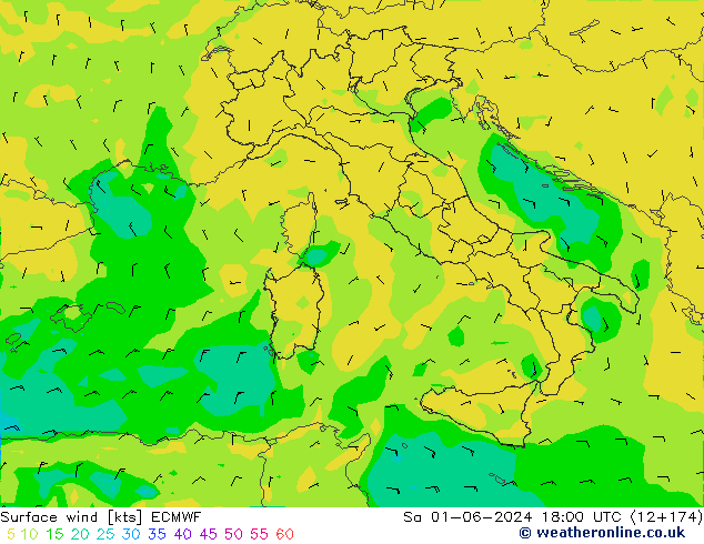  10 m ECMWF  01.06.2024 18 UTC