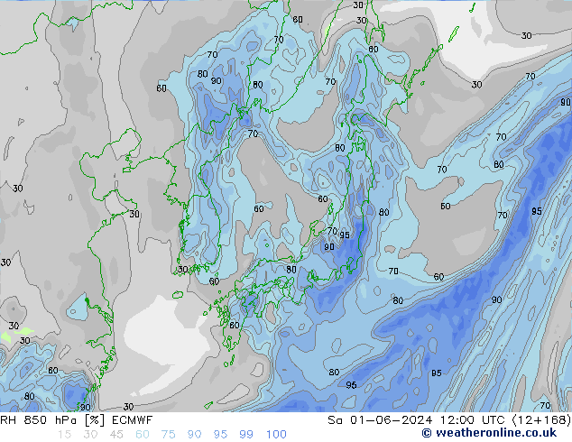 RH 850 hPa ECMWF sab 01.06.2024 12 UTC