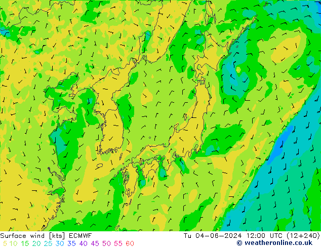 Viento 10 m ECMWF mar 04.06.2024 12 UTC