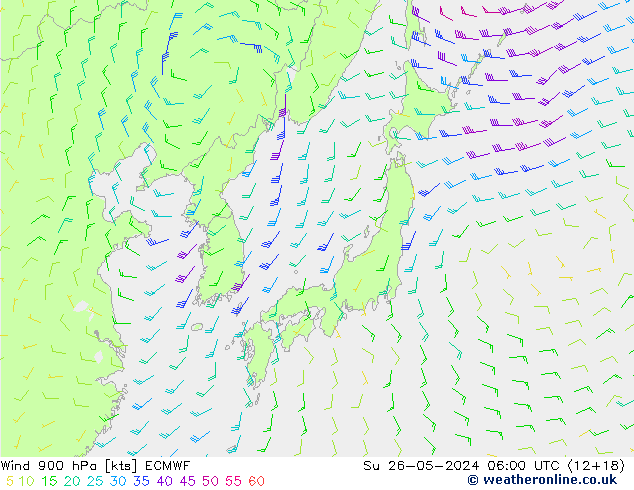 Wind 900 hPa ECMWF Su 26.05.2024 06 UTC