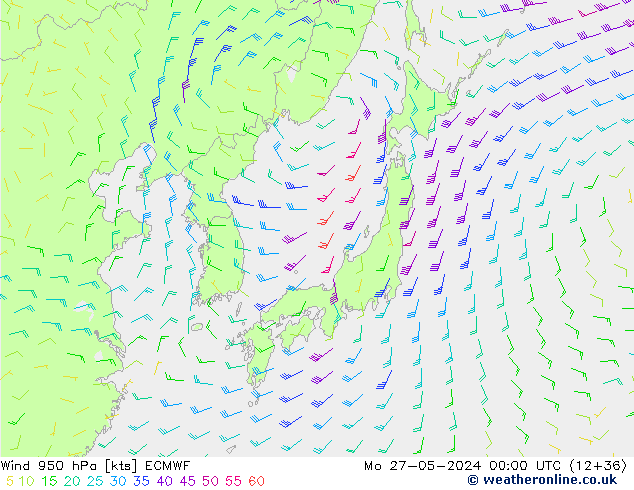  950 hPa ECMWF  27.05.2024 00 UTC