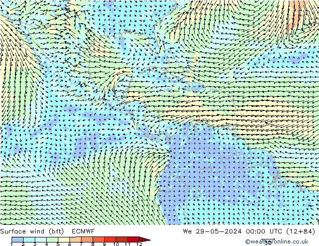 Surface wind (bft) ECMWF We 29.05.2024 00 UTC