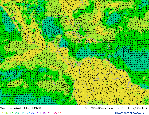 Wind 10 m ECMWF zo 26.05.2024 06 UTC