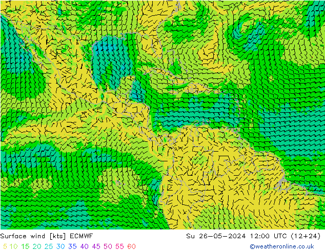 ветер 10 m ECMWF Вс 26.05.2024 12 UTC