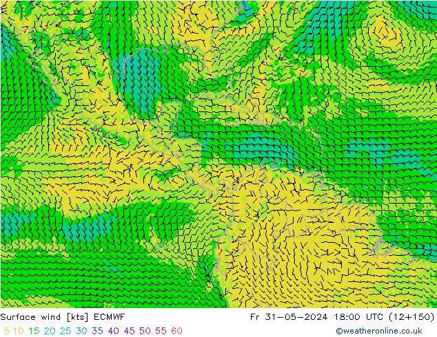 Surface wind ECMWF Fr 31.05.2024 18 UTC