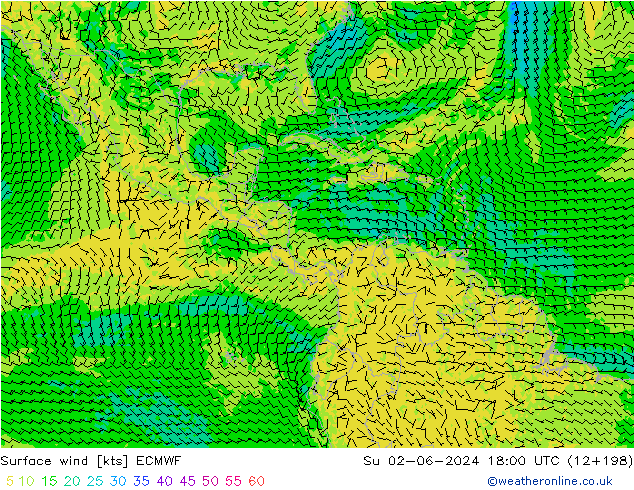  10 m ECMWF  02.06.2024 18 UTC