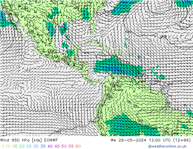 Vento 950 hPa ECMWF Qua 29.05.2024 12 UTC