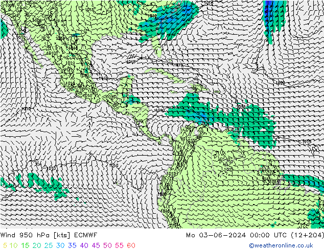 Vento 950 hPa ECMWF lun 03.06.2024 00 UTC