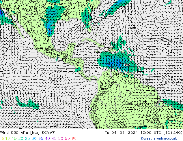  950 hPa ECMWF  04.06.2024 12 UTC