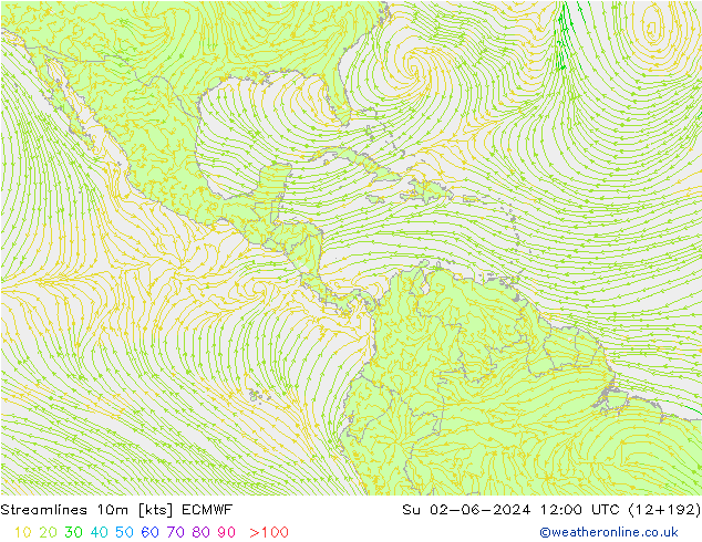 10m ECMWF  02.06.2024 12 UTC