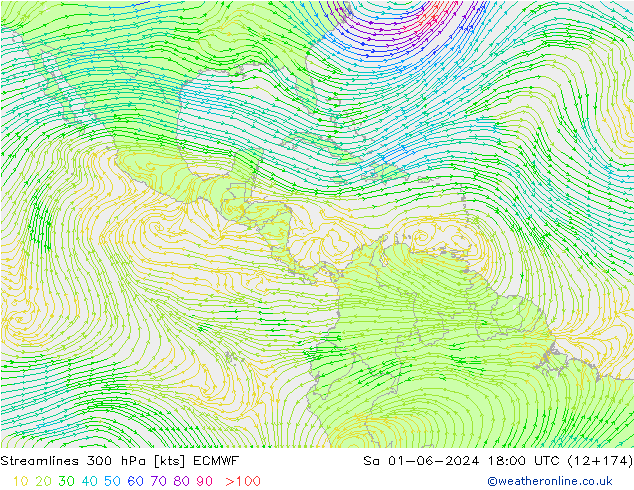 Streamlines 300 hPa ECMWF So 01.06.2024 18 UTC