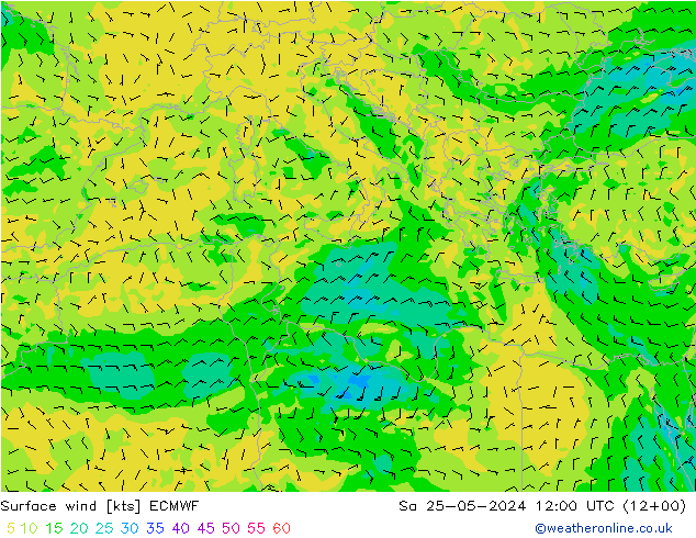 Viento 10 m ECMWF sáb 25.05.2024 12 UTC